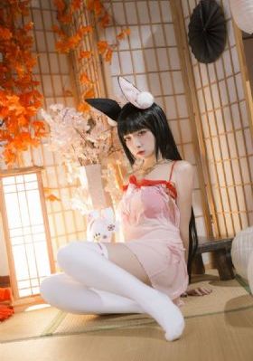 来自公园的女孩_DVD高清完整版播放